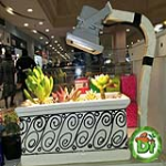سابقه علمی