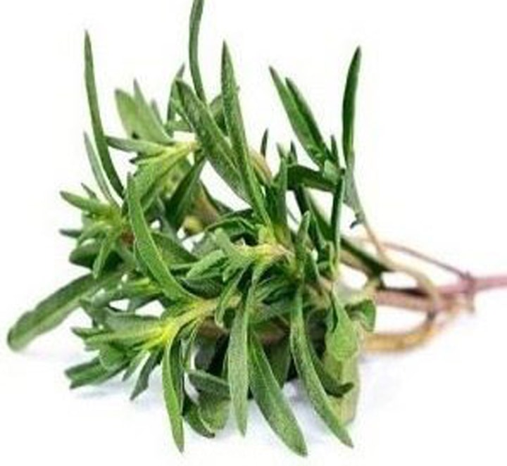 آویشن برگ باریک