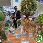 سابقه علمی