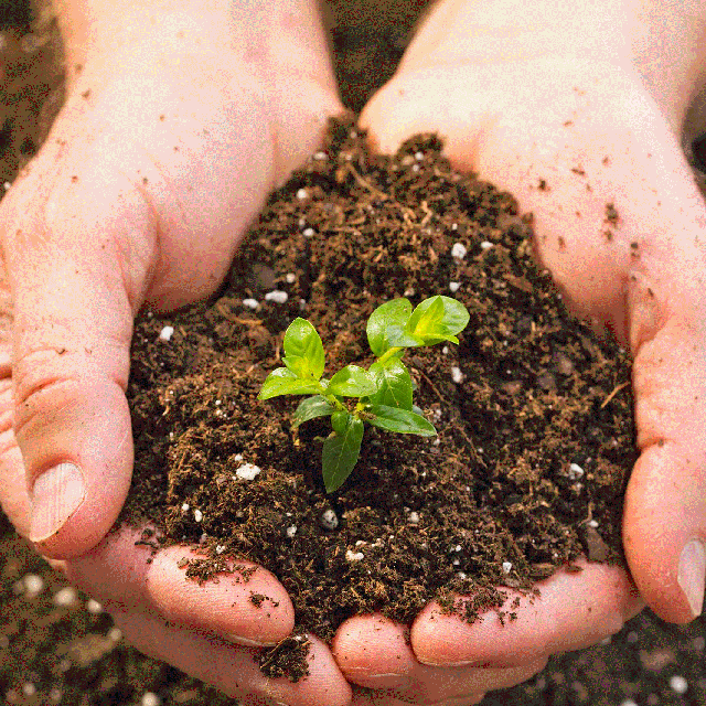 چرا خاک حاصلخیزی خود را از دست میدهد؟